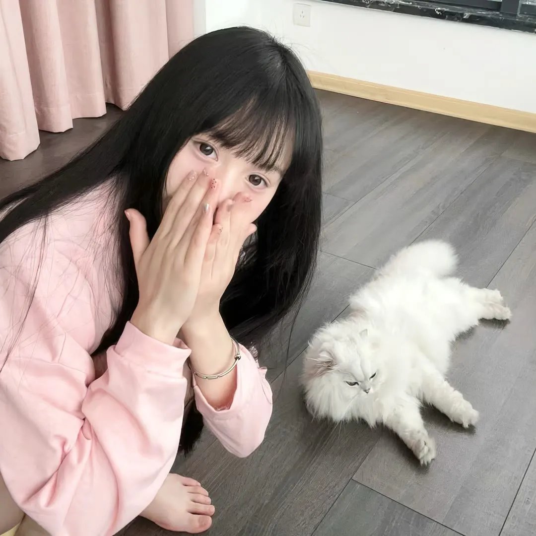 布朗神父第十季